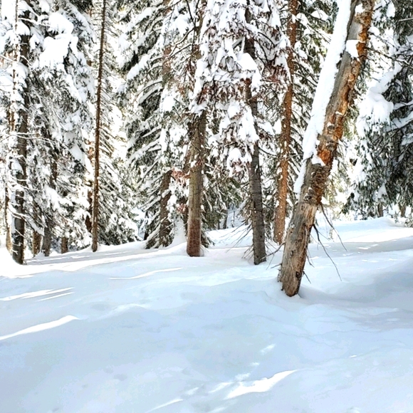 Ambassador❤Mentor❤High Rated Seller❤Send Offers❤ - Picture 2 of 12